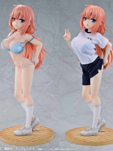 re dress there is also a hole in the student organization komaro michinoku p e uniform ver scale figure ()